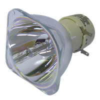 ACER DWX0714 Lampe sans boîtier