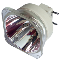 BENQ 5J.J8C05.002 Lampe sans boîtier