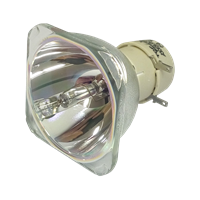 BENQ MW526E Lampe sans boîtier