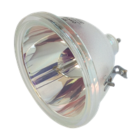 BOXLIGHT MP-38T Lampe sans boîtier