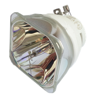 NEC NP-PE501X Lampe sans boîtier