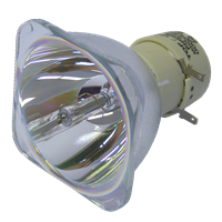 NEC V260 Lampe sans boîtier