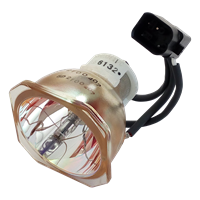 NEC WT610 Lampe sans boîtier
