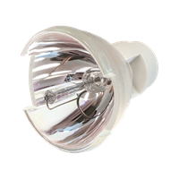 OPTOMA BL-FP330B (DE.5811116911-SOT) Lampe sans boîtier