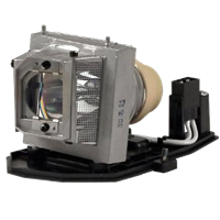 OPTOMA BL-FU190D (SP.8TM01GC01) Lampe avec boîtier