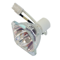 OPTOMA DE.5811116320-SOT Lampe sans boîtier