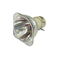 OPTOMA DW416 Lampe sans boîtier