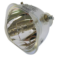 OPTOMA BL-FP120C (SP.86801.001) Lampe sans boîtier