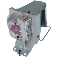 OPTOMA SP.7DQR1GR01 (BL-FP195E ) Lampe avec boîtier