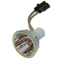 OPTOMA VDDVGG Lampe sans boîtier