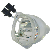 PHILIPS LC5331 (Ivy10S) Lampe sans boîtier