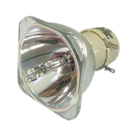 PHILIPS-UHP 200/170W 0.8 E20.9 Lampe sans boîtier