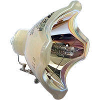 PHILIPS-UHP 200/150W 1.0 P19.5 Lampe sans boîtier