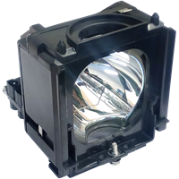 SAMSUNG HL-S5666WX/XAC Lampe avec boîtier
