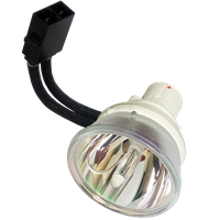 SHARP AN-XR30LP (BQC-PGF200X) Lampe sans boîtier