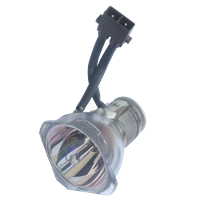 TOSHIBA TDP-TW100J Lampe sans boîtier