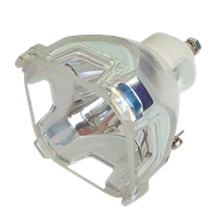 Supermait TLPLW1 Lampe ampoule bulbe de projecteur de remplacement avec boîtier Compatible avec TOSHIBA TLP-620 TLP-S200 TLP-S201 TLP-T400 TLP-T401 TLP-T500 TLP-T501 TLP-T600 TLP-T601 TLP-T700