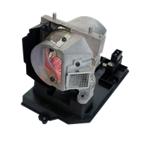 TRIUMPH BOARD PJ250-W Lampe avec boîtier